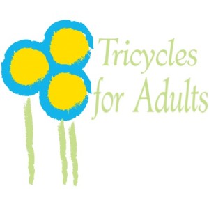 tricycles for adults 