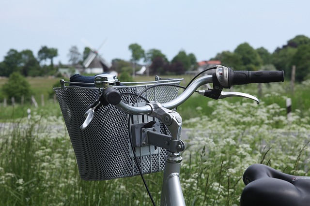 tricycle for obese adults